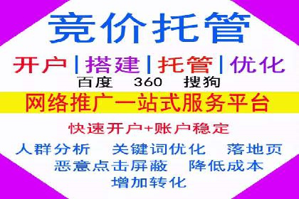 成功SEM搜索引擎优化案例，揭秘优化秘籍